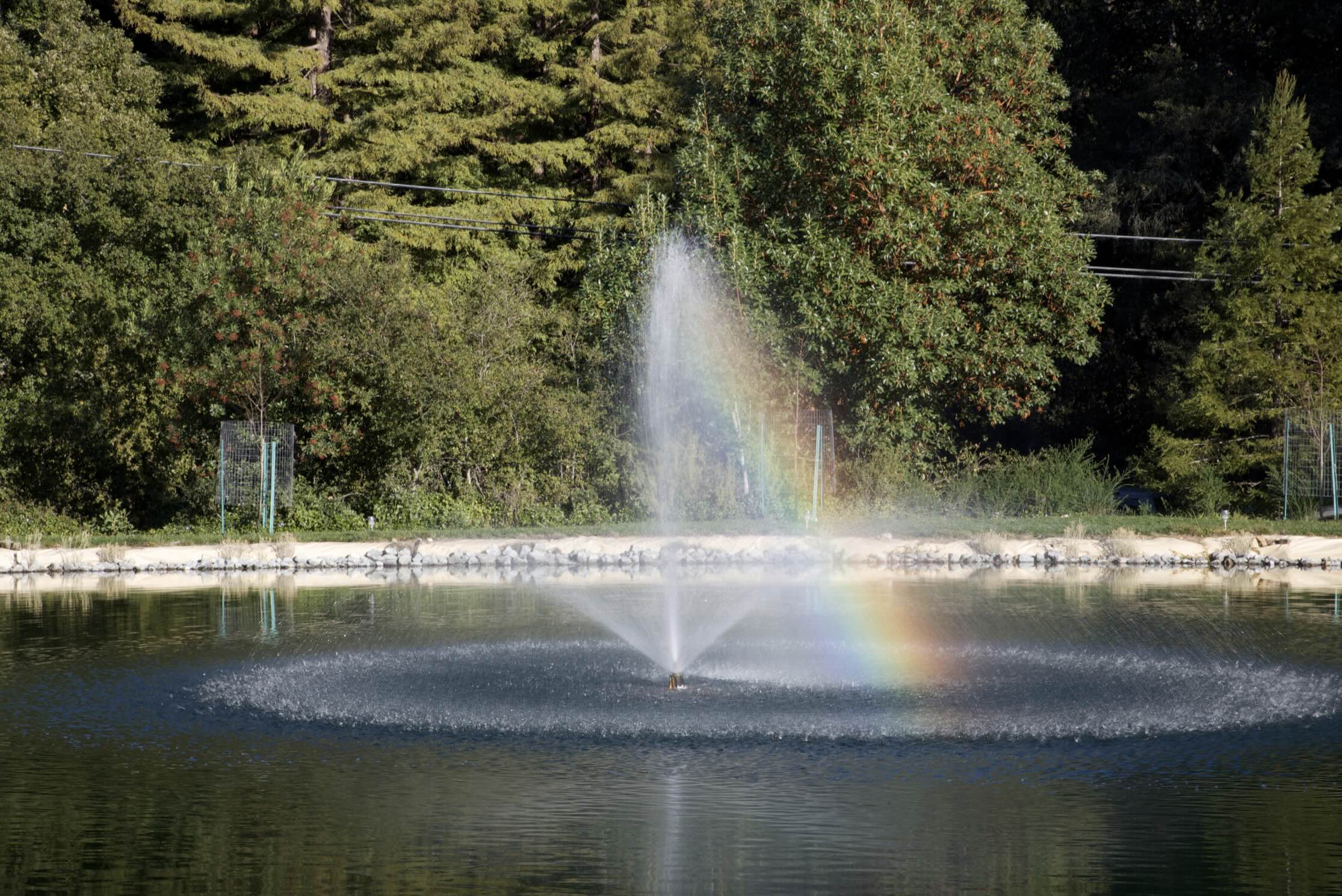 Offering Pond Rainbow 2015